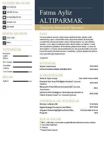 Matematik Öğretmeni Cv Örnekleri cv indir